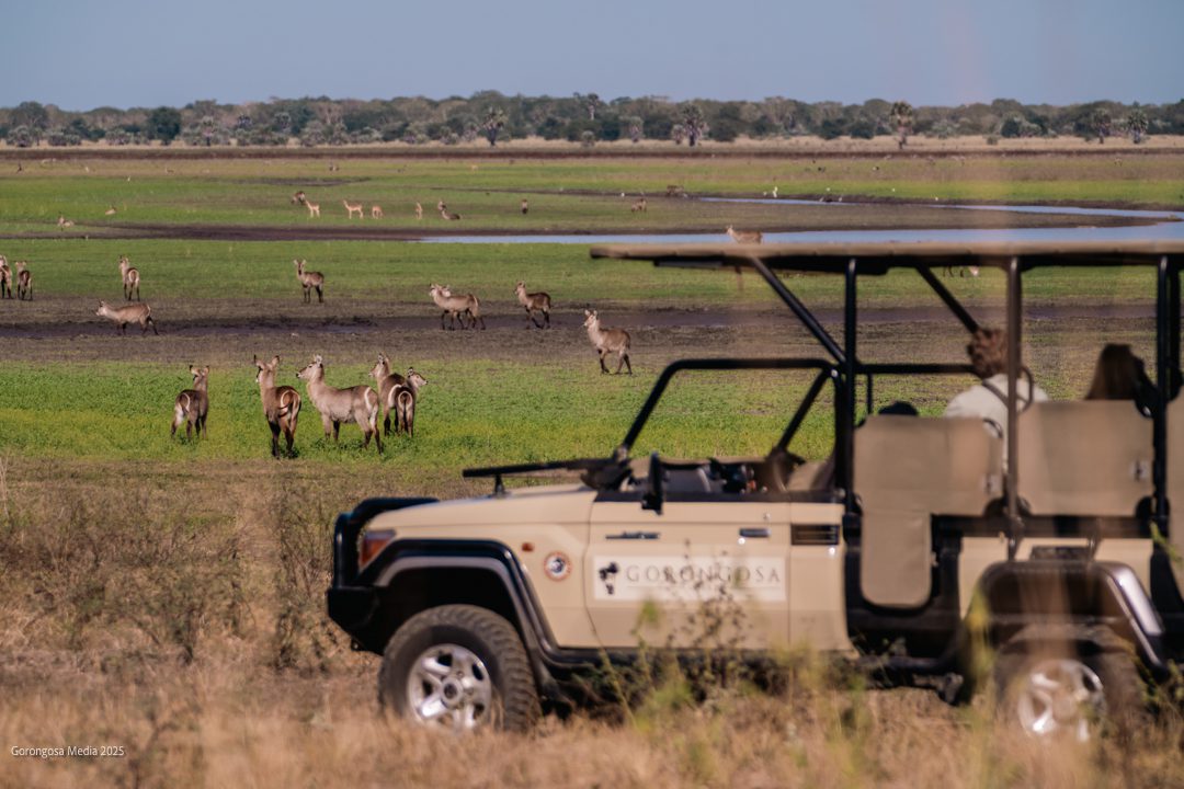 Parque Nacional da Gorongosa